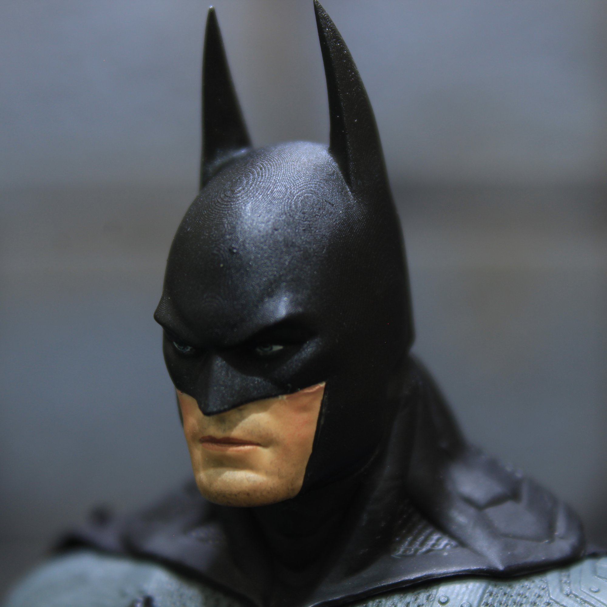 Detective Arkham City VAULT Custom Figures